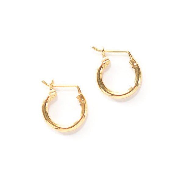 Adriana Hoop Earrings
