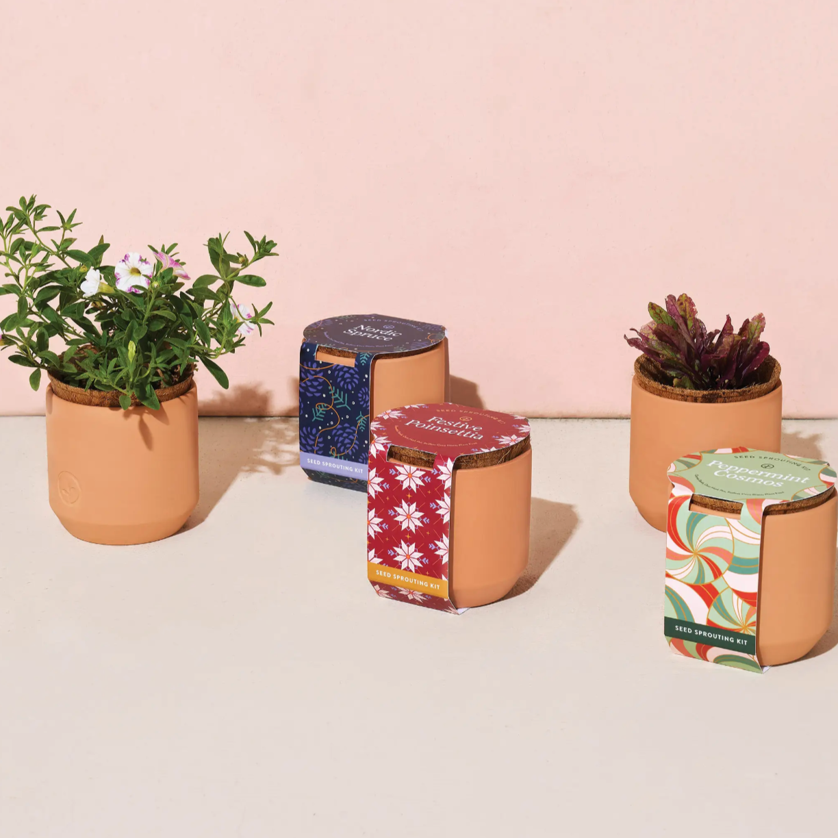 Holiday Tiny Terracotta Grow Kit