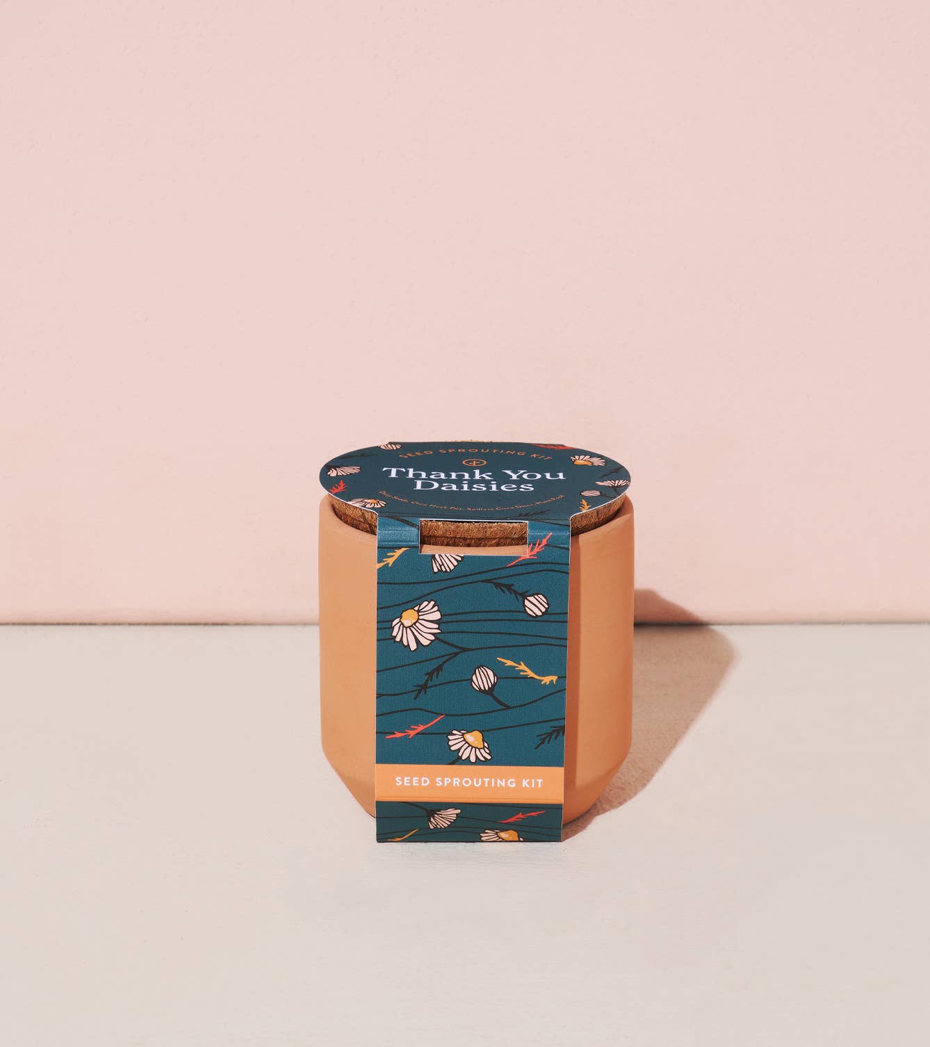Tiny Terracotta - Thank You Daisies