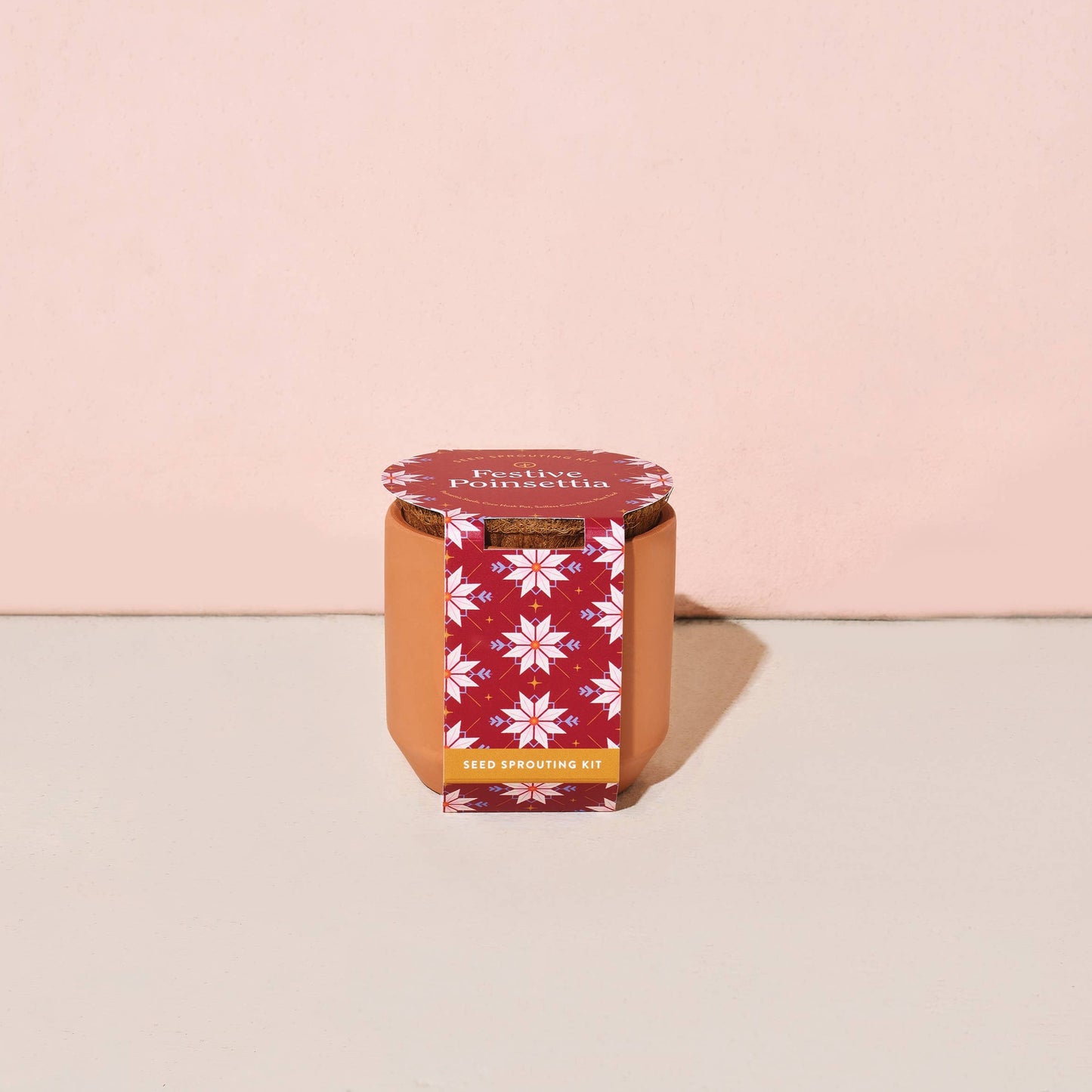 terracotta pot poinsetta
