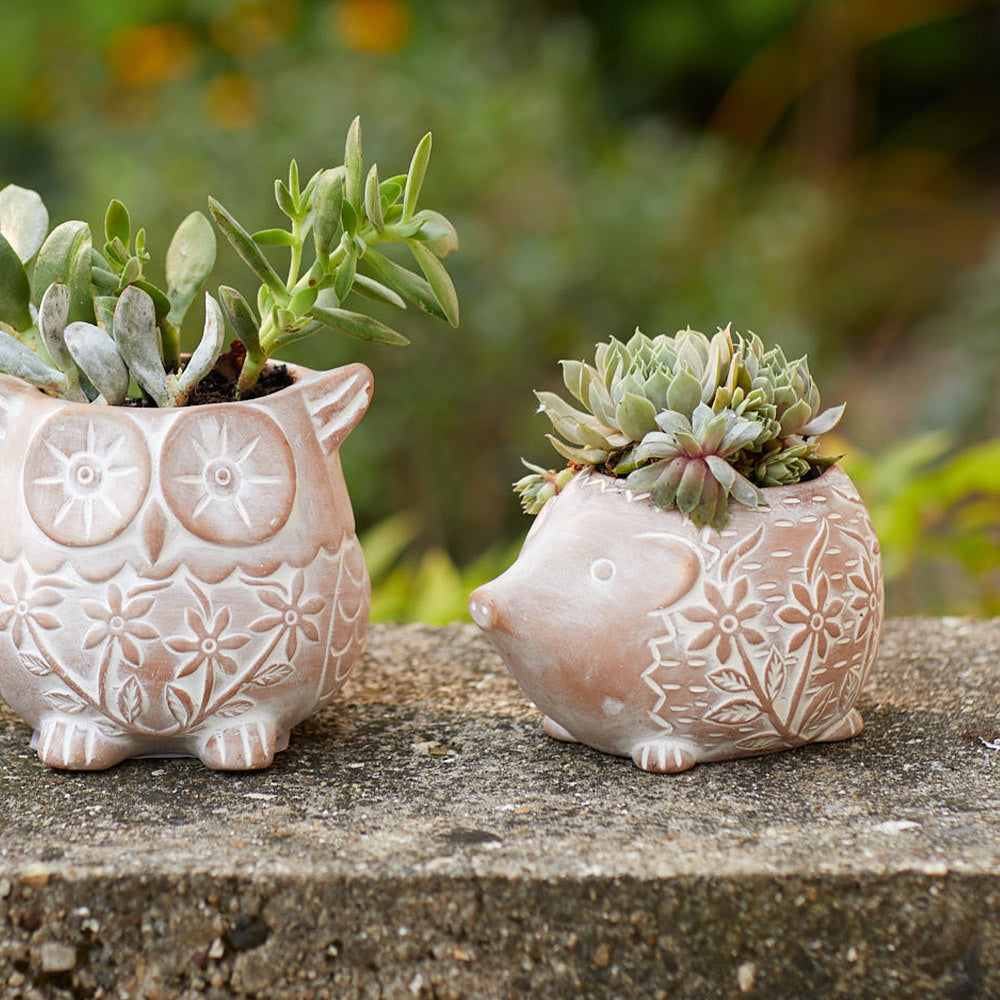 Hedgehog Planter