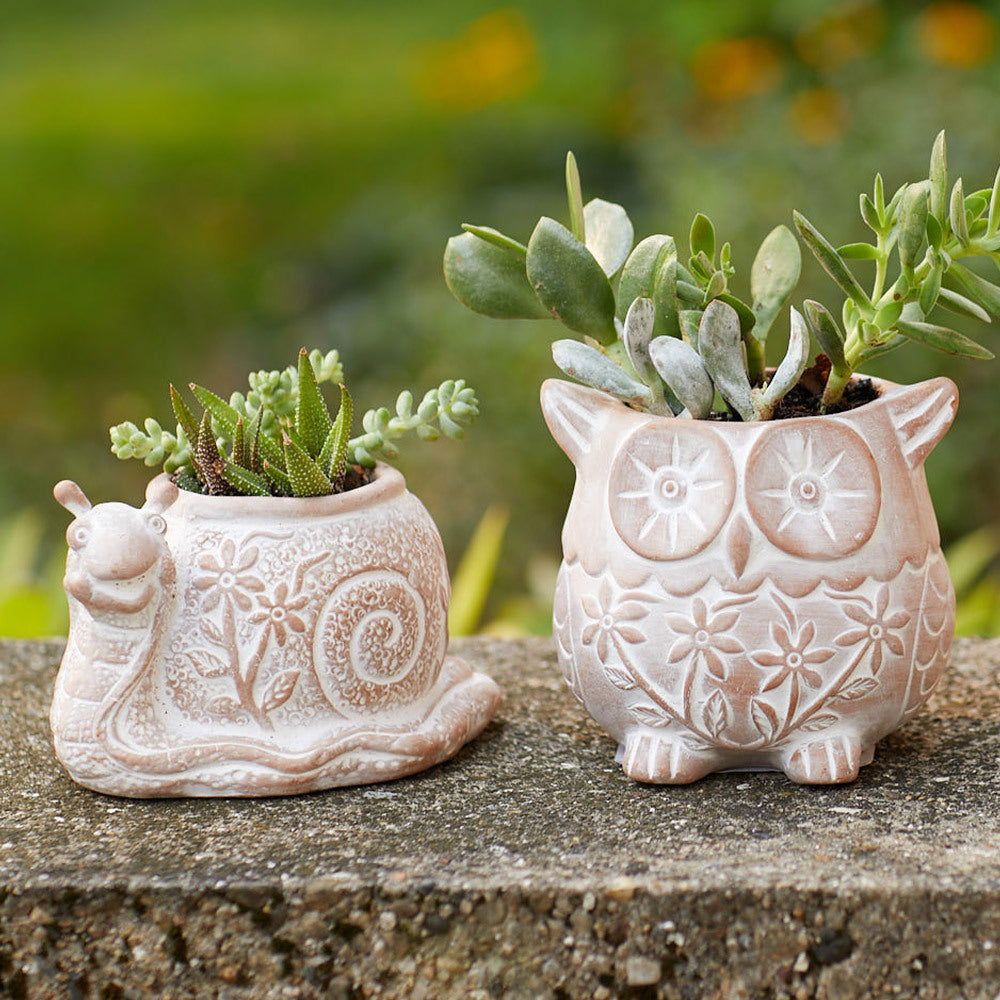 Owl Terracotta Planter