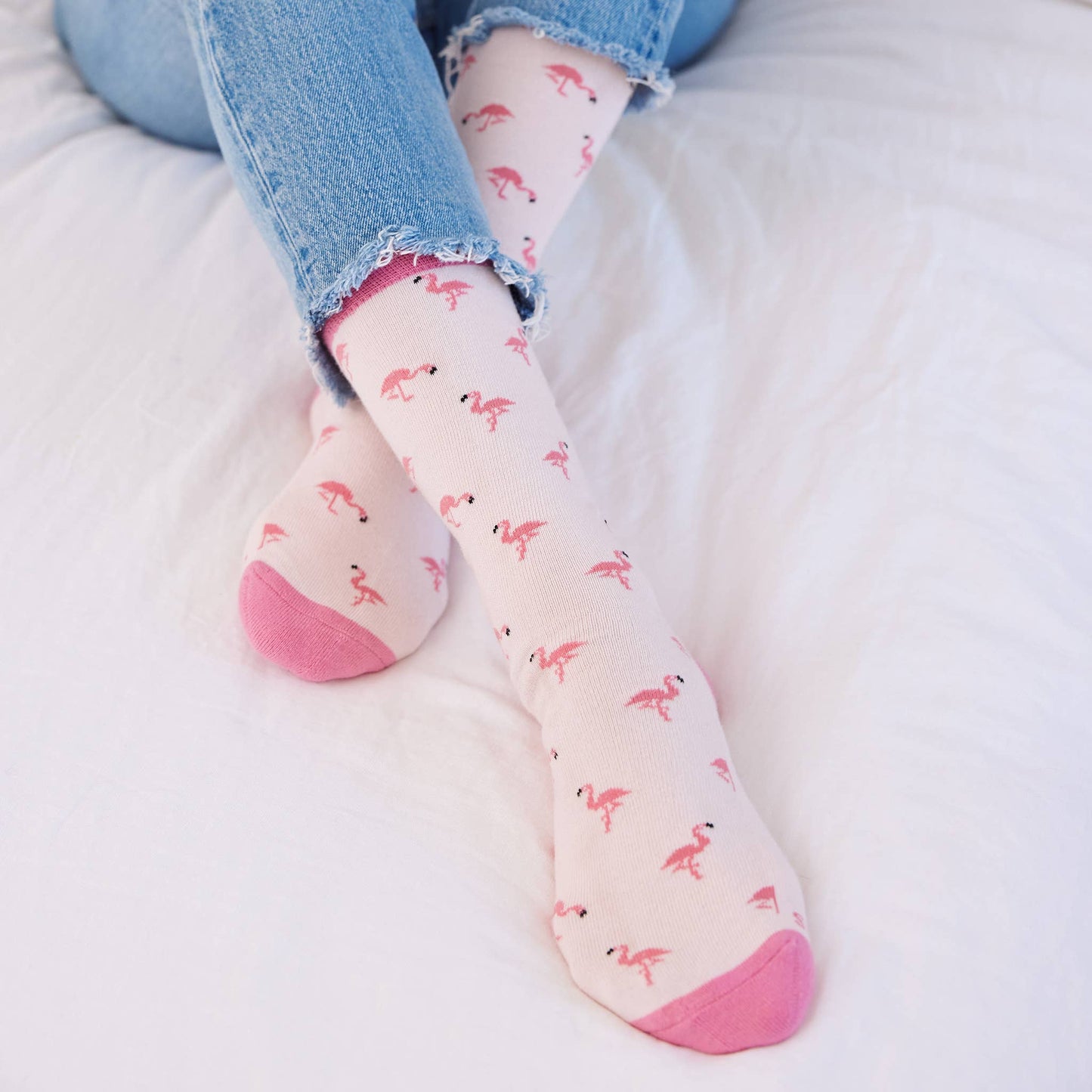 Socks that Protect Flamingos: Small