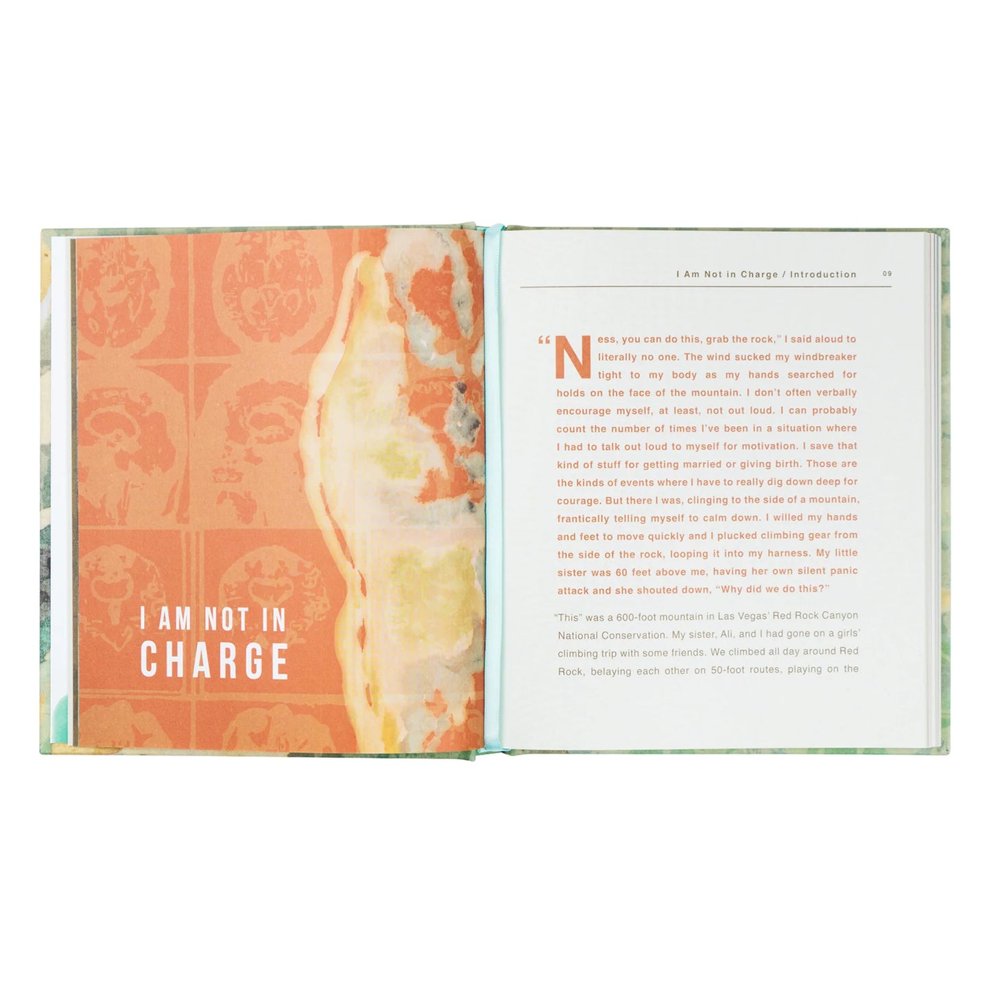I Am Not In Charge Bible Study by Ness Cannon