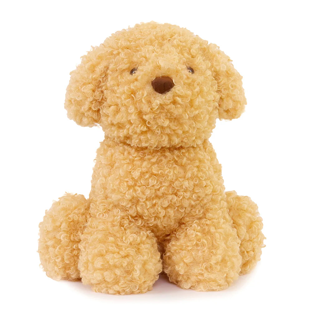 Soft Luca Labradoodle