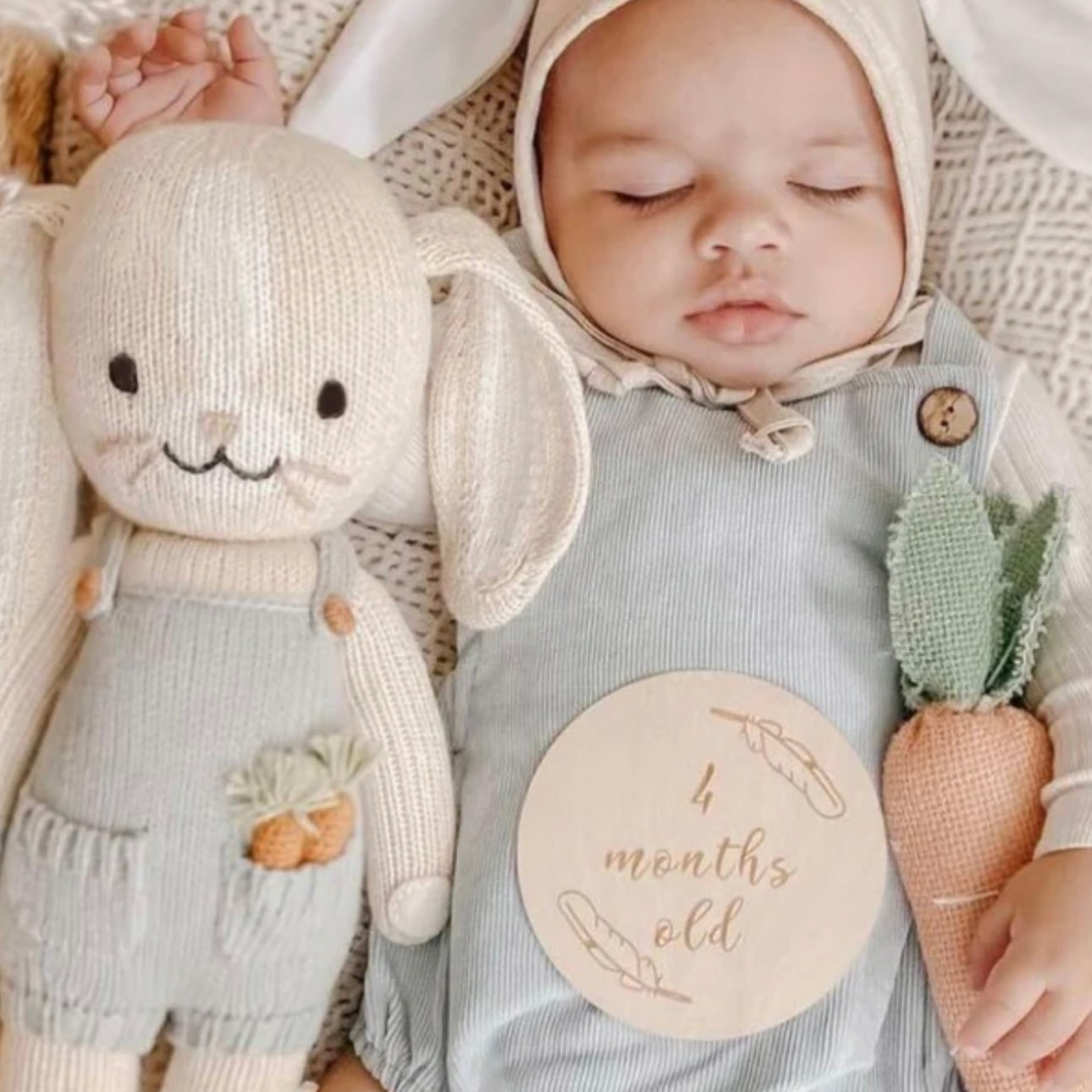 Henry the Bunny: Cuddle + Kind – Evimero Marketplace