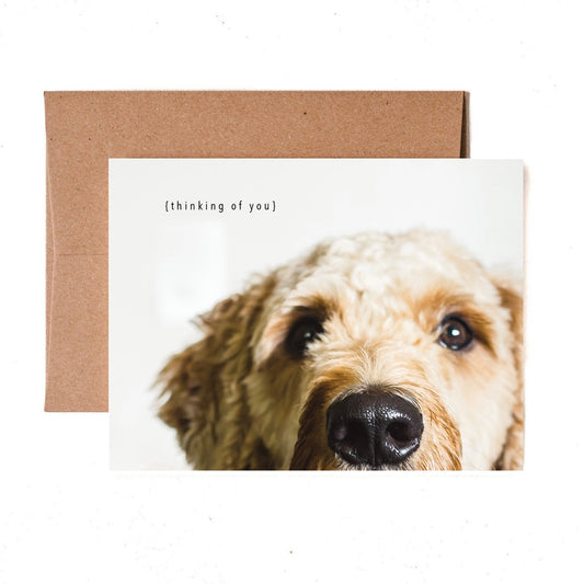 Dog Eyes Greeting Card