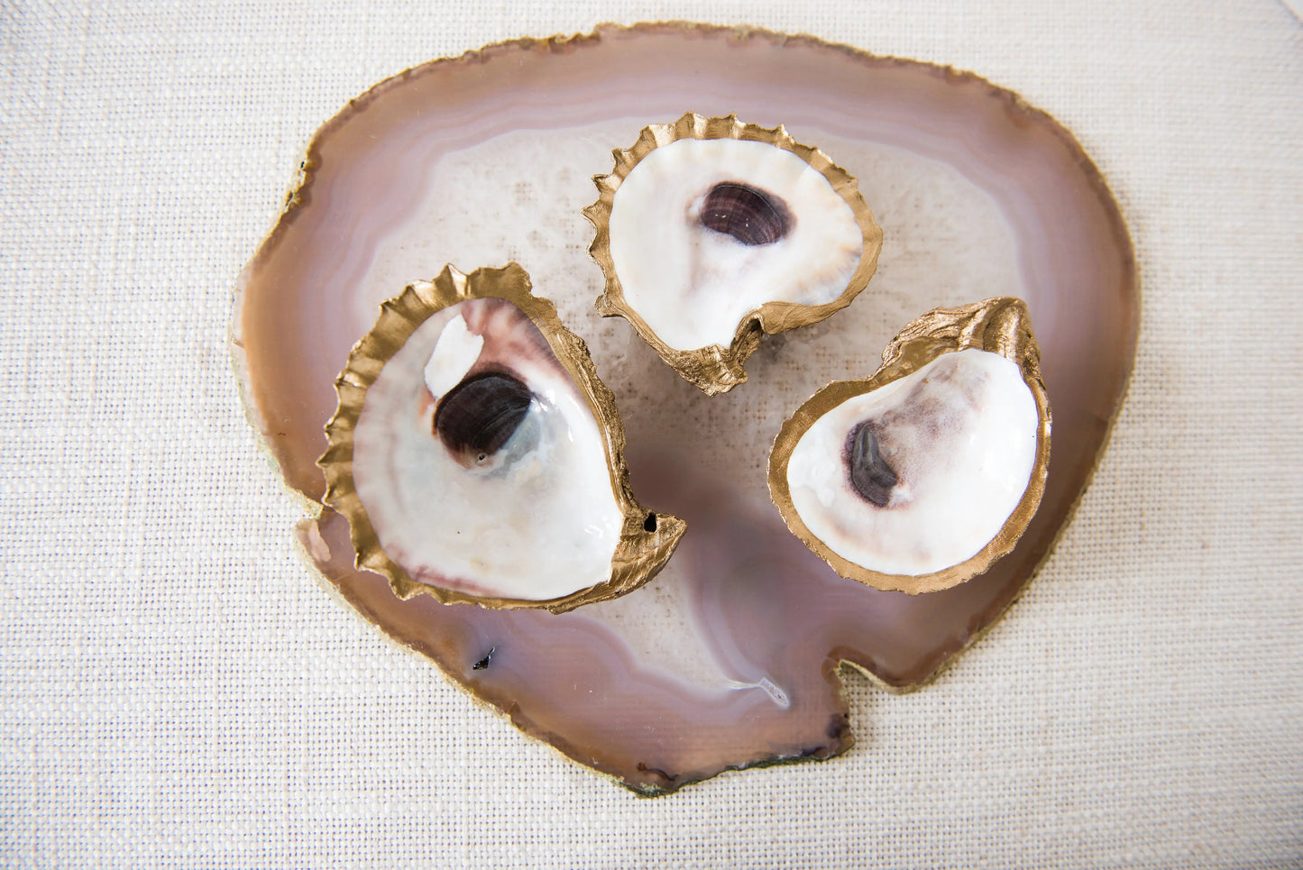 Oyster Shell Dish
