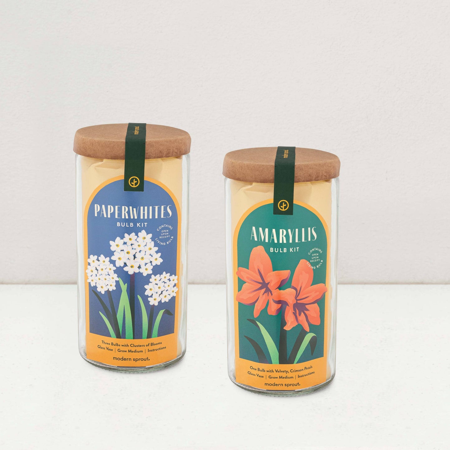 paperwhite and amaryllis bulb kits
